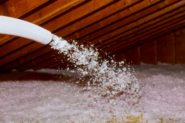 Best Insulation Repair Services  in Mount Gay Shamrock, WV