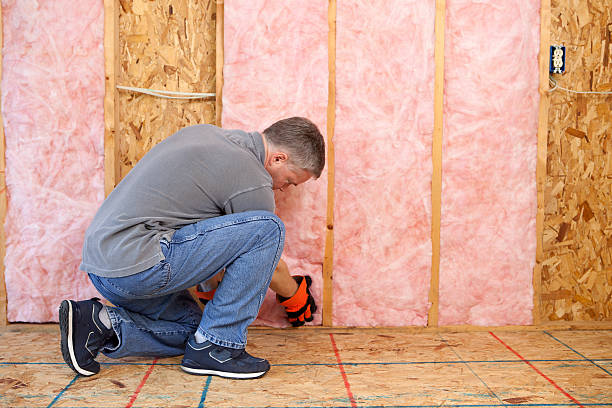 Best Attic Insulation Installation  in Mount Gay Shamrock, WV