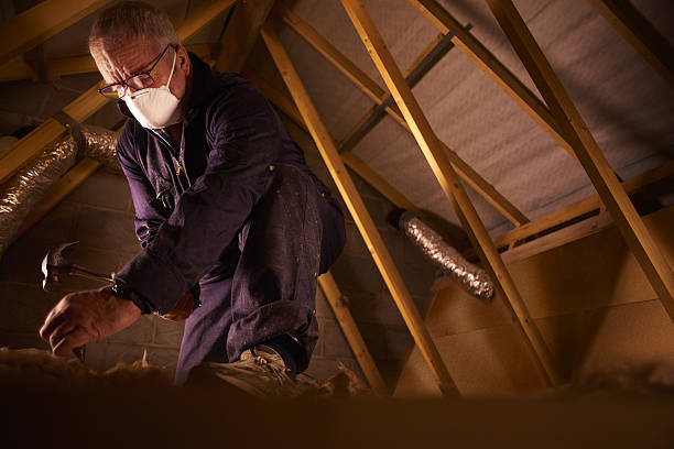 Best Crawl Space Insulation  in Mount Gay Shamrock, WV